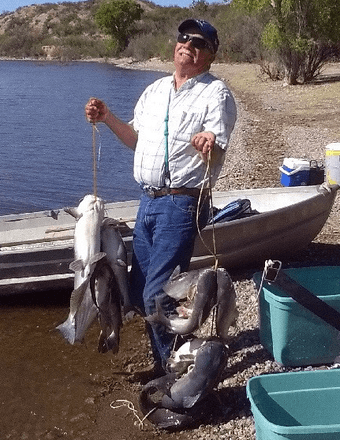 David Otto Bellows Obituary